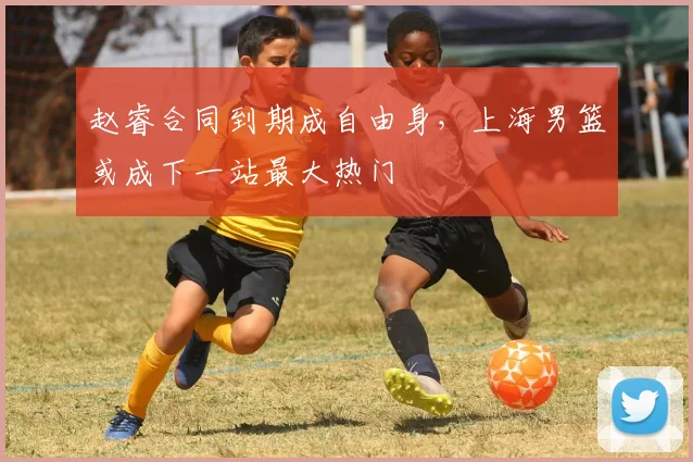 赵睿合同到期成自由身,上海男篮或成下一站最大热门