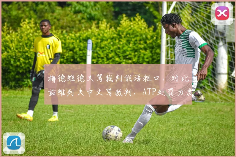 梅德维德夫骂裁判俄语粗口,对比兹维列夫中文骂裁判,ATP处罚力度是否一致?