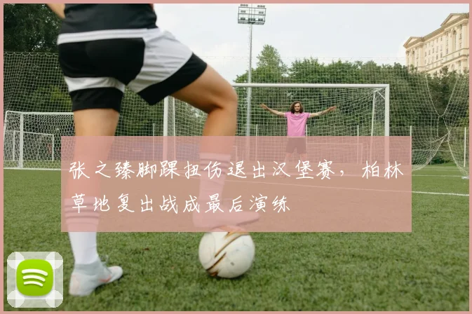 张之臻脚踝扭伤退出汉堡赛,柏林草地复出战成最后演练